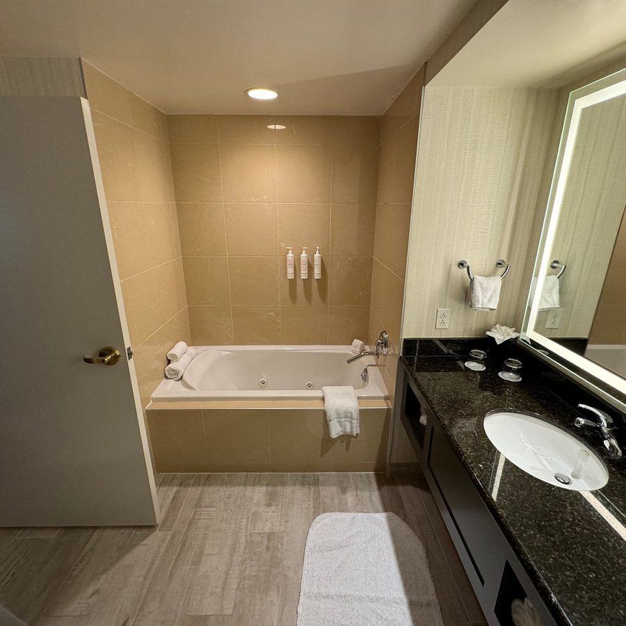 Hartford Marriott Downtown — Bathroom
