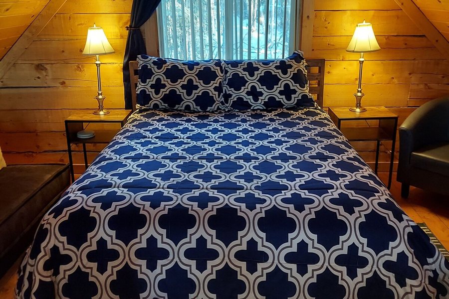 Hatcher Pass Cabins — Guest room