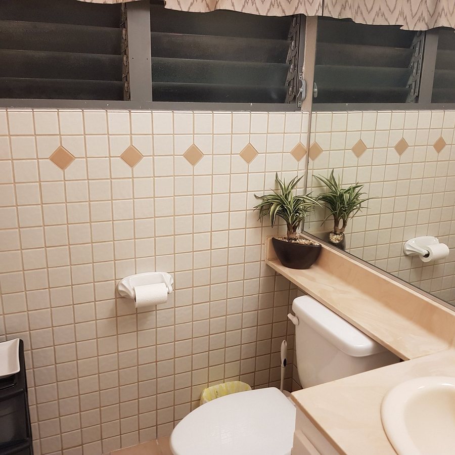 Hawaiian King — Bathroom