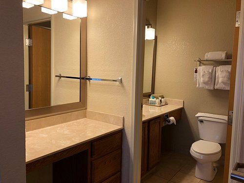 Hawthorn Suites by Wyndham Decatur — Bathroom