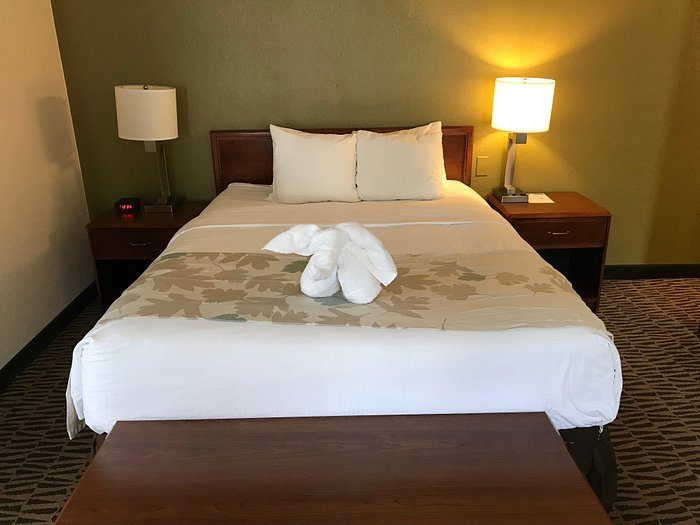 Hawthorn Suites by Wyndham Fort Worth Medical Center — Guest room