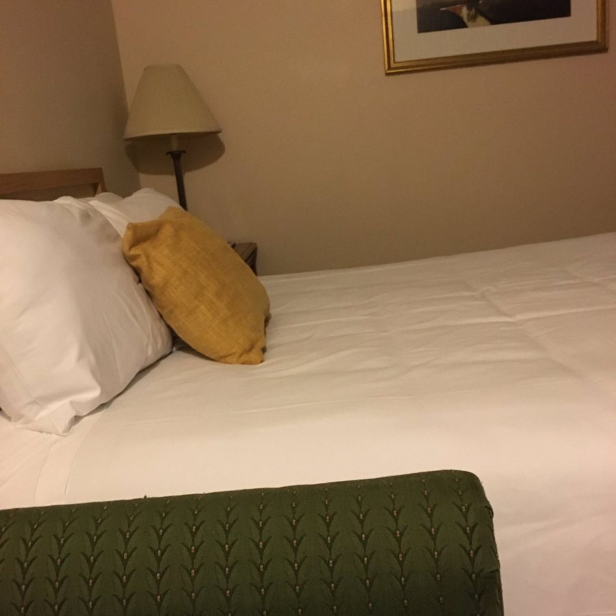 Henniker Motel Henniker New Hampshire — Guest room