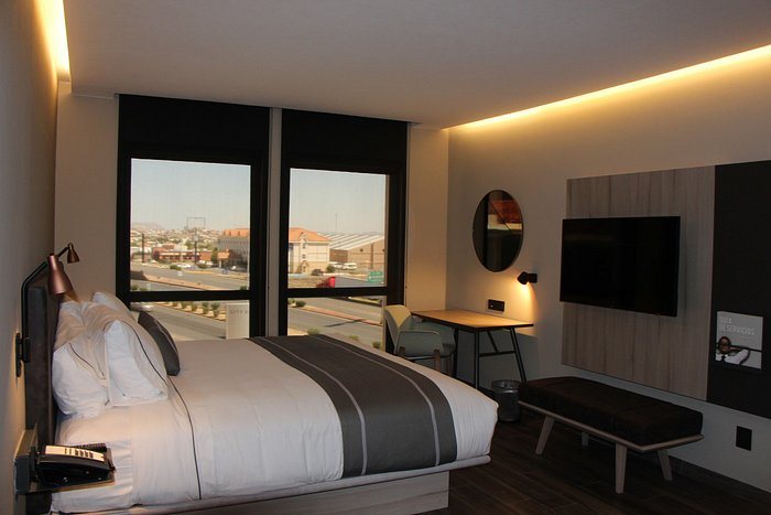 Highland Chiuahua Hotel — Guest room