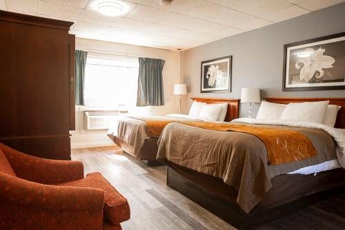 Hill Brook Motel — Guest room
