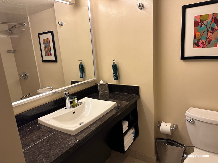 Hilton Anaheim — Bathroom