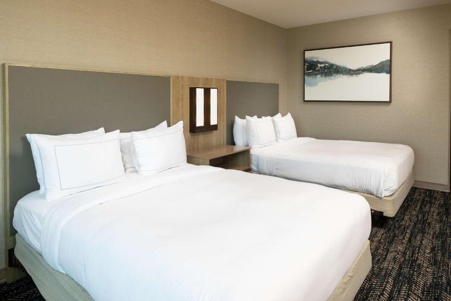 Hilton Asheville Biltmore Park — Guest room