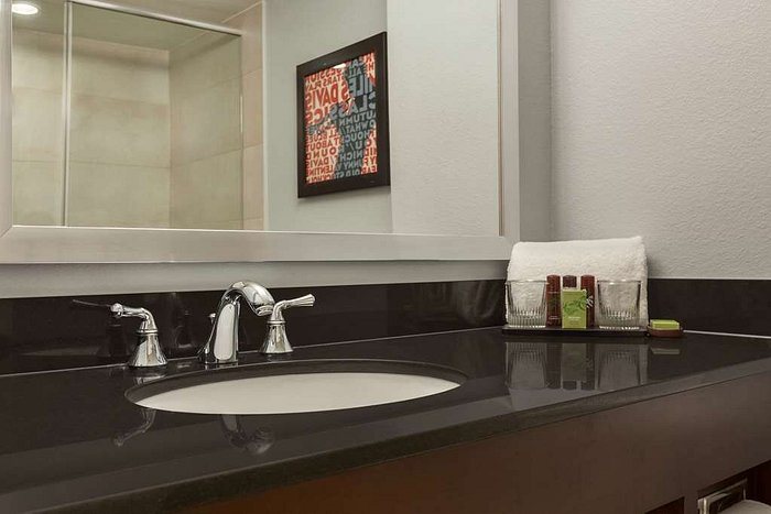 Hilton Baton Rouge Capitol Center — Bathroom