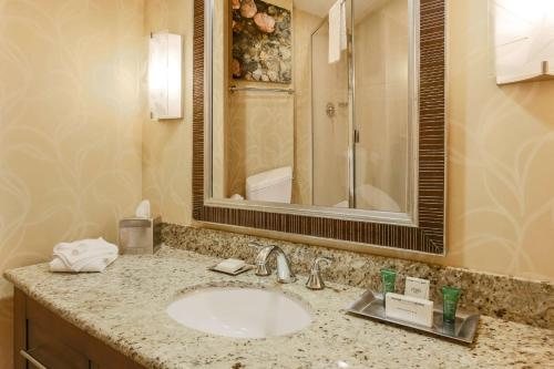 Hilton Branson Convention Center — Bathroom