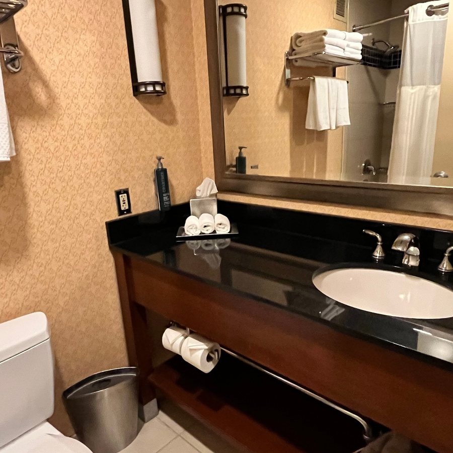 Hilton Chicago O Hare Airport Chicago Illinois — Bathroom