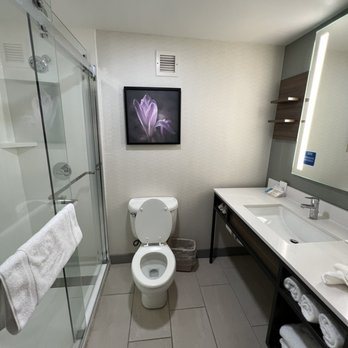 Hilton Garden Inn Allentown Bethlehem Airport — Bathroom