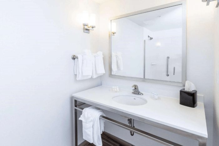 Hilton Garden Inn Asheville Downtown — Bathroom