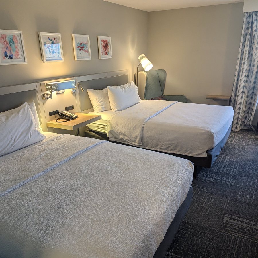 Hilton Garden Inn Asheville South — Guest room