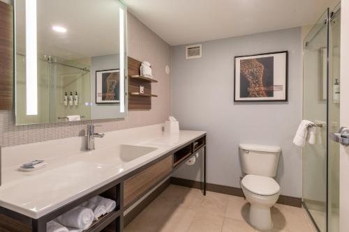 Hilton Garden Inn Auburn — Bathroom
