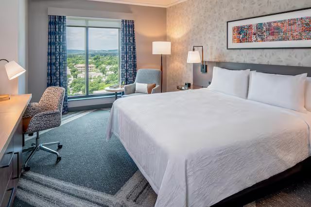 Hilton Garden Inn Austin Airport — Guest room