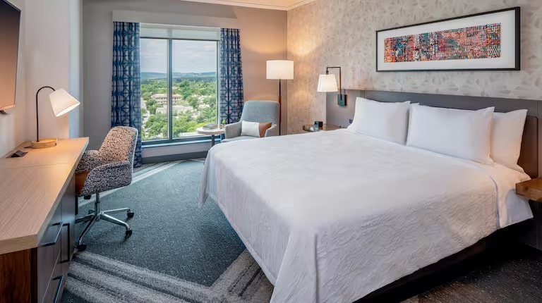 Hilton Garden Inn Austin University Capitol District — Guest room