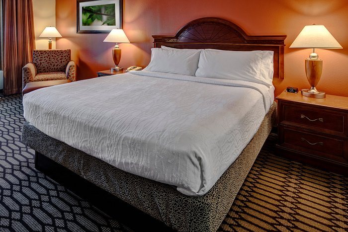 Hilton Garden Inn Birmingham lakeshore Drive — Guest room