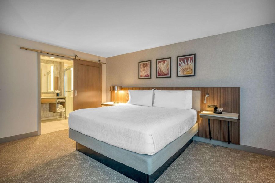 Hilton Garden Inn Boston Logan Airport — Guest room