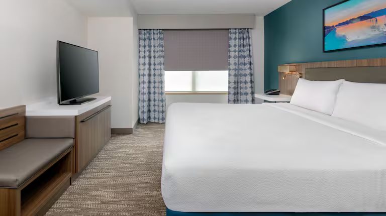 Hilton Garden Inn Buffalo Airport — Guest room