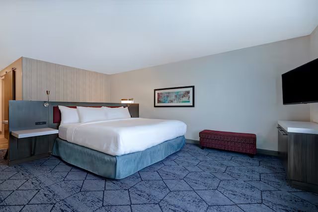 Hilton Garden Inn Cedar Rapids — Guest room