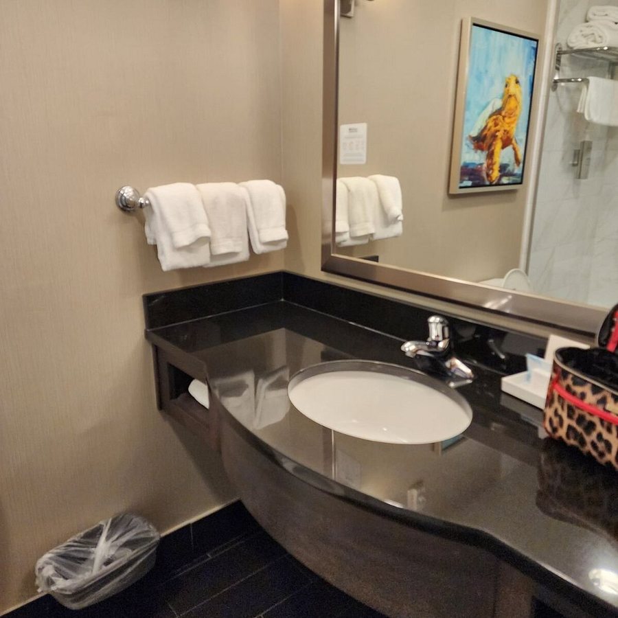 Hilton Garden Inn Charleston Waterfront downtown — Bathroom