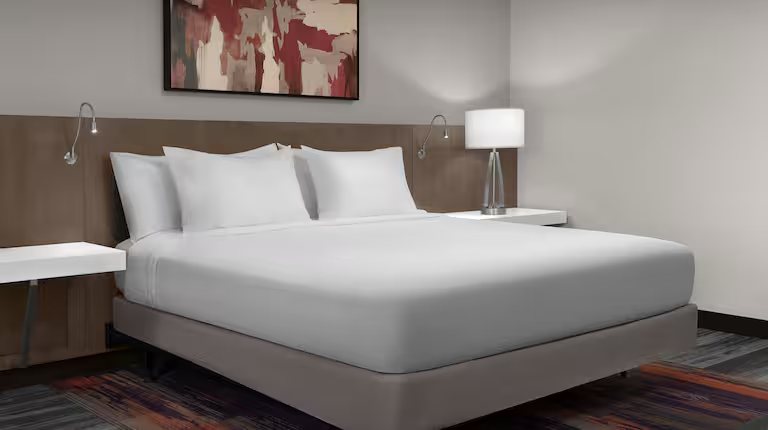 Hilton Garden Inn Charlotte Waverly — Guest room