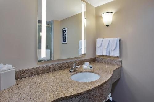 Hilton Garden Inn Chesapeake Suffolk — Bathroom
