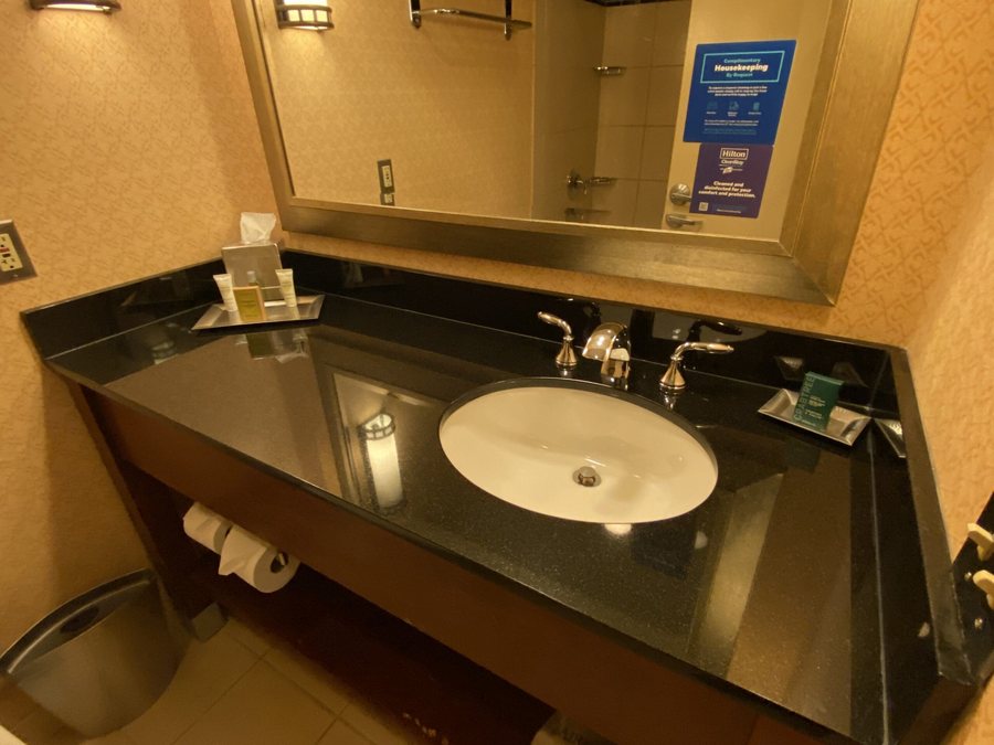 Hilton Garden Inn Chicago Ohare Airport — Bathroom