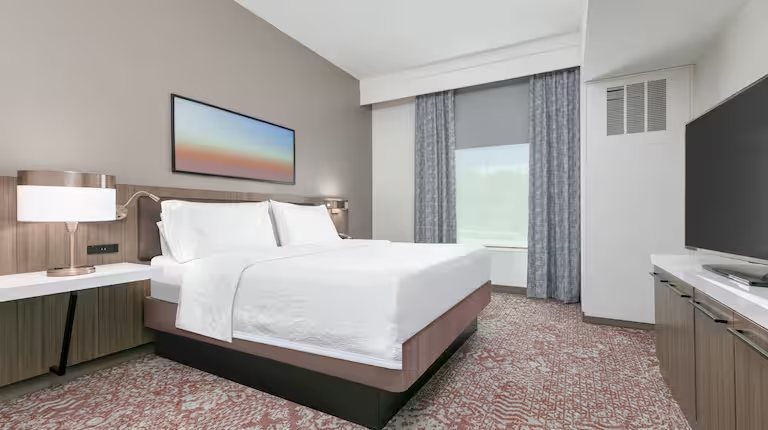 Hilton Garden Inn Dallas Arlington — Guest room