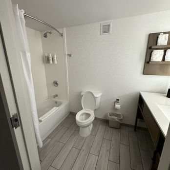 Hilton Garden Inn Detroit Downtown Detroit Michigan — Bathroom