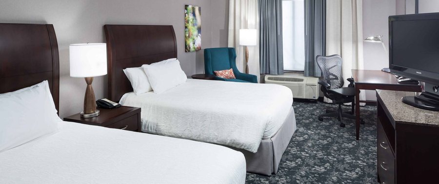 Hilton Garden Inn Detroit Novi — Guest room