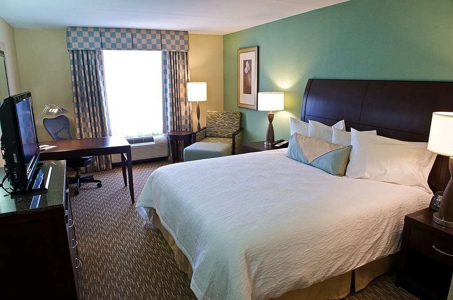 Hilton Garden Inn Gainesville — Guest room