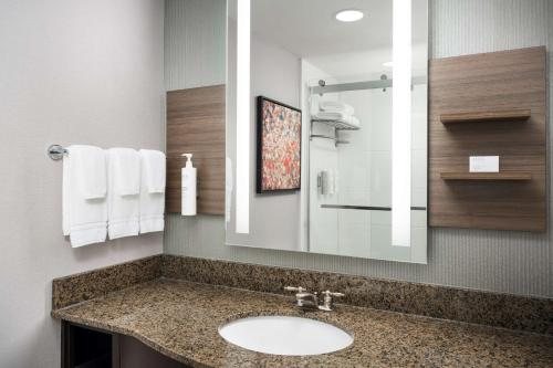 Hilton Garden Inn Huntsville South Redstone Arsenal — Bathroom