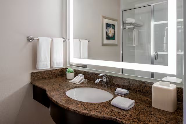Hilton Garden Inn Jackson Pearl — Bathroom