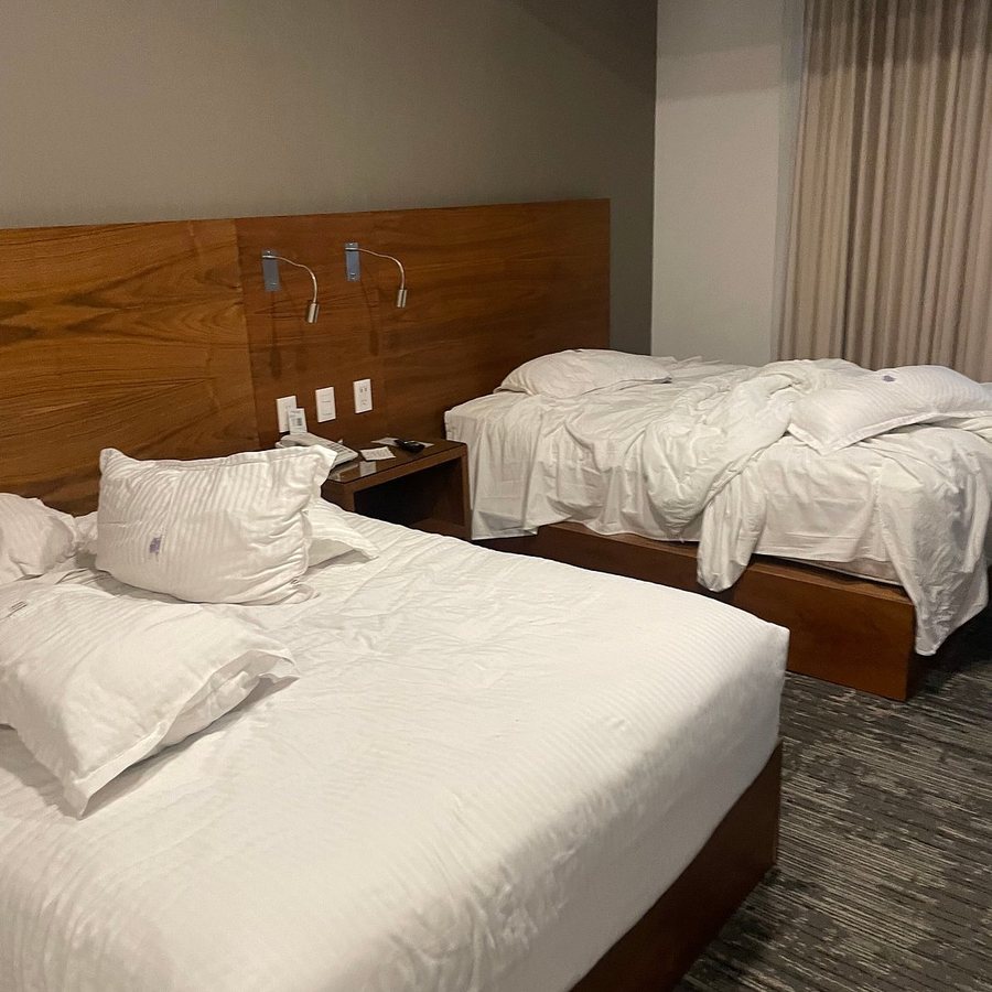 Hilton Garden Inn Mexico City Polanco — Guest room