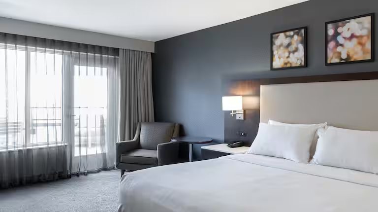 Hilton Garden Inn Minneapolis University Area — Guest room