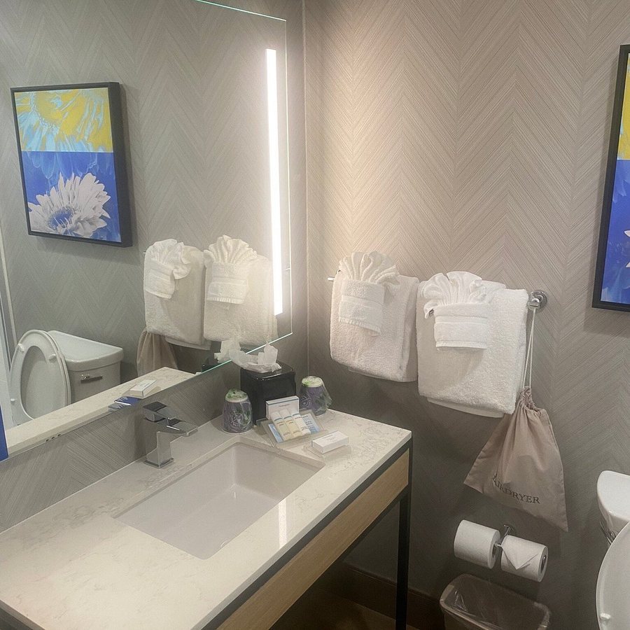 Hilton Garden Inn Nashville franklin Cool Springs — Bathroom
