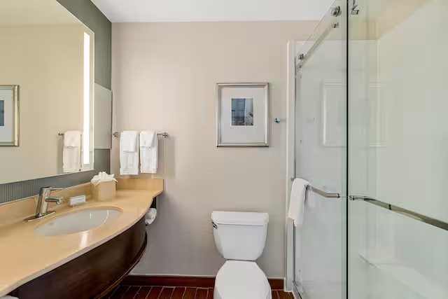 Hilton Garden Inn New Orleans French Quarter CBD — Bathroom