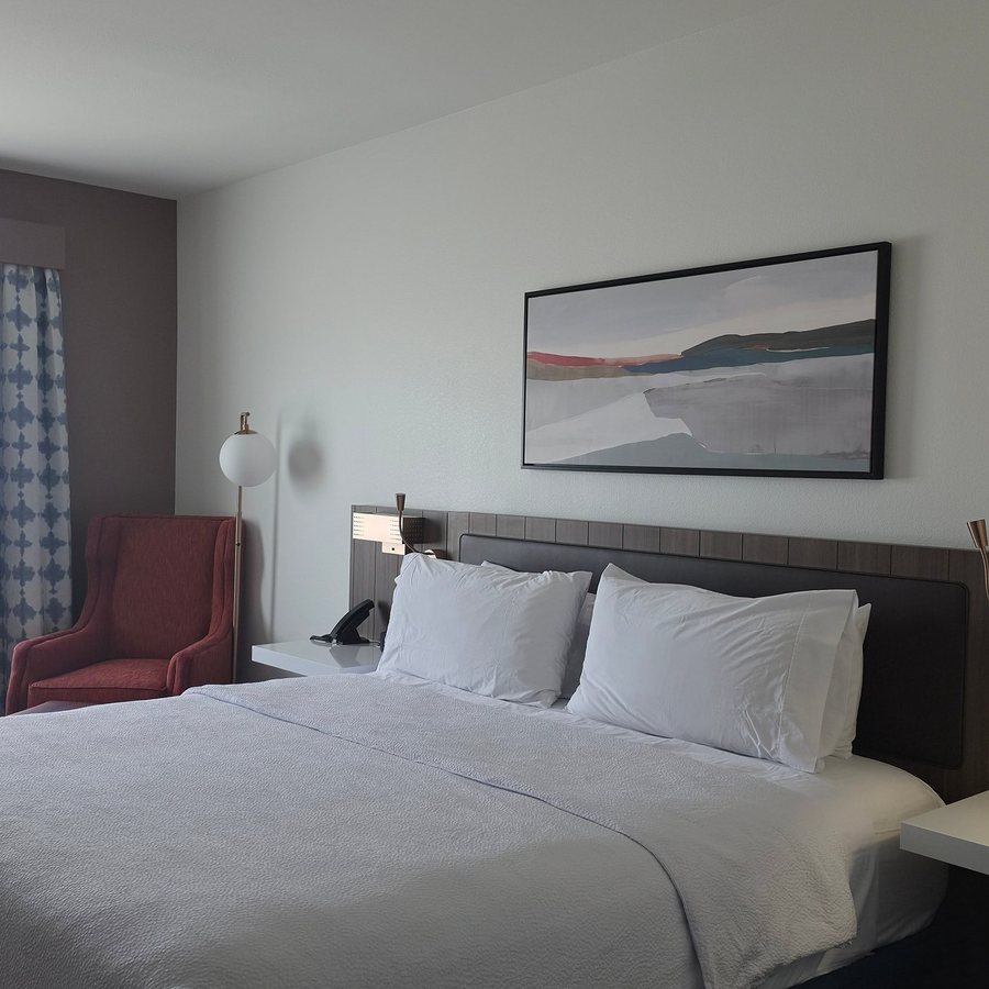Hilton Garden Inn Odessa — Guest room