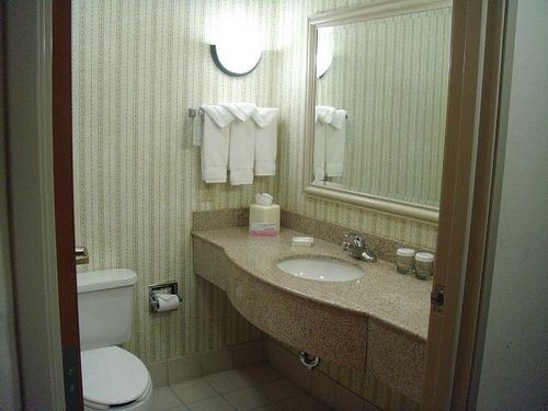 Hilton Garden Inn Oklahoma City Airport — Bathroom