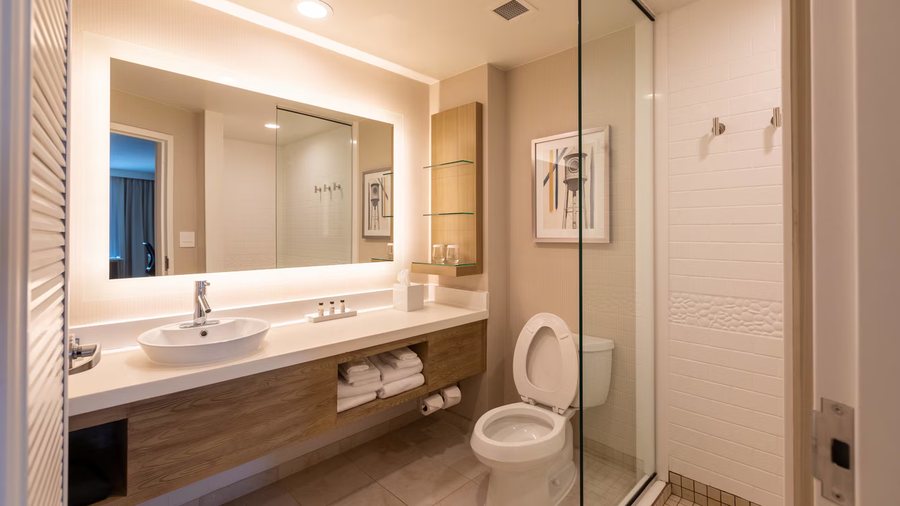 Hilton Garden Inn Raleigh Durham Research Triangle Park — Bathroom