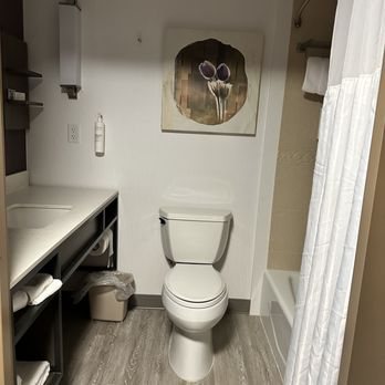 Hilton Garden Inn Rapid City — Bathroom