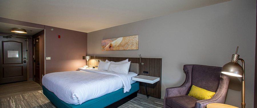 Hilton Garden Inn Rapid City — Guest room