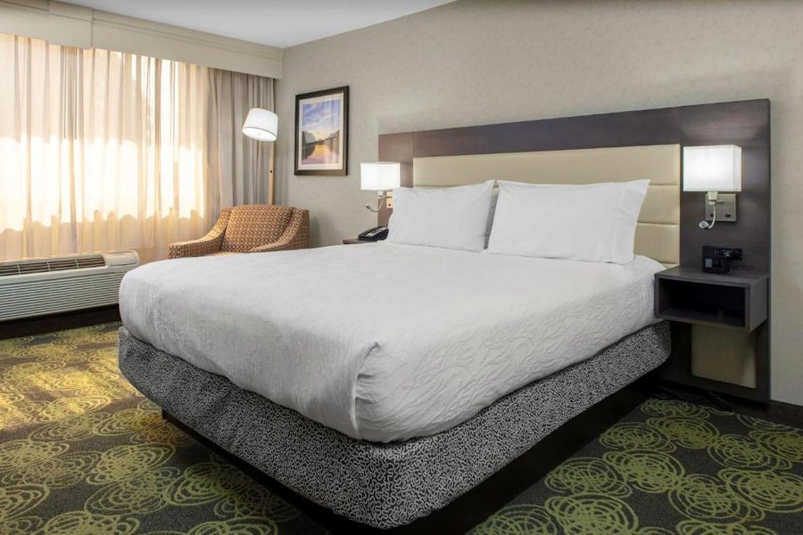 Hilton Garden Inn Reagan National Airport — Guest room