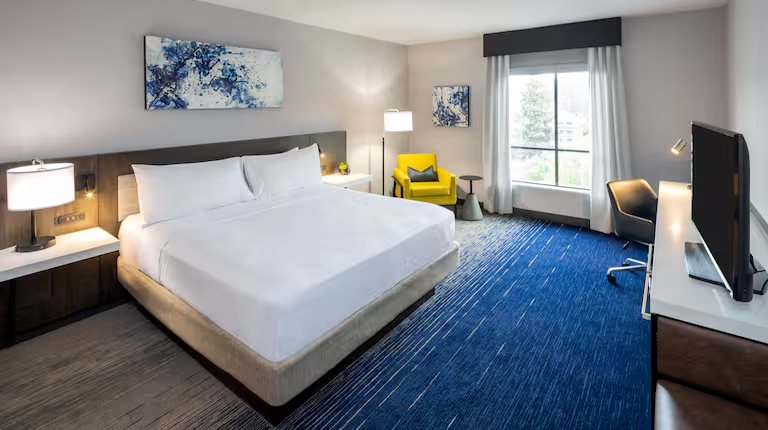 Hilton Garden Inn Redmond Seattle — Guest room