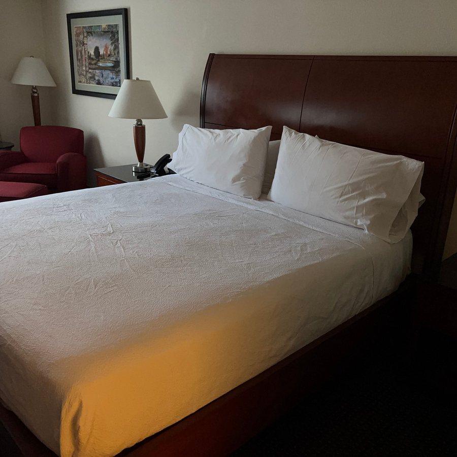 Hilton Garden Inn Rockville Gaithersburg — Guest room