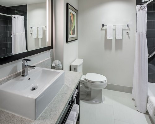 Hilton Garden Inn Sarasota Bradenton Airport — Bathroom