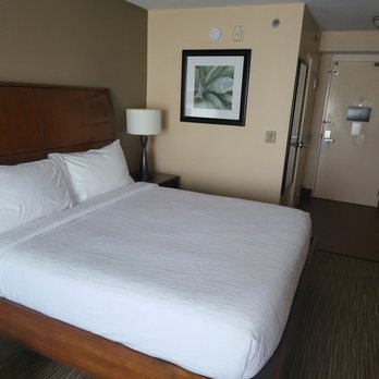 Hilton Garden Inn Sarasota Bradenton Airport — Guest room