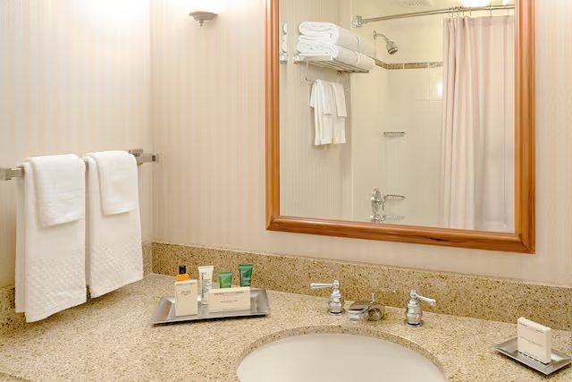 Hilton Garden Inn Seattle Airport — Bathroom