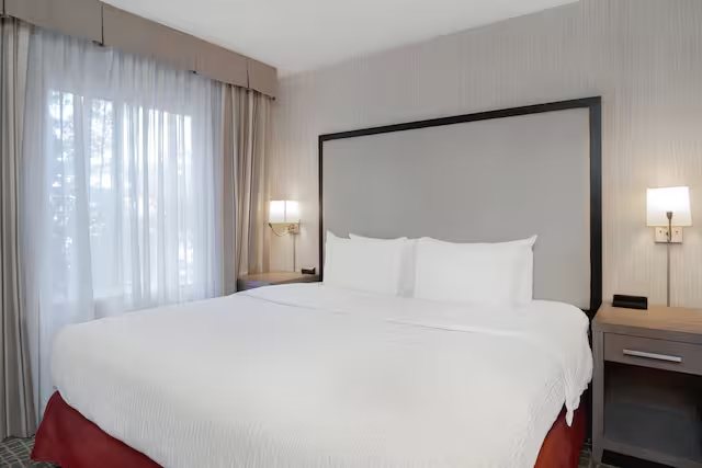Hilton Garden Inn Tallahassee — Guest room