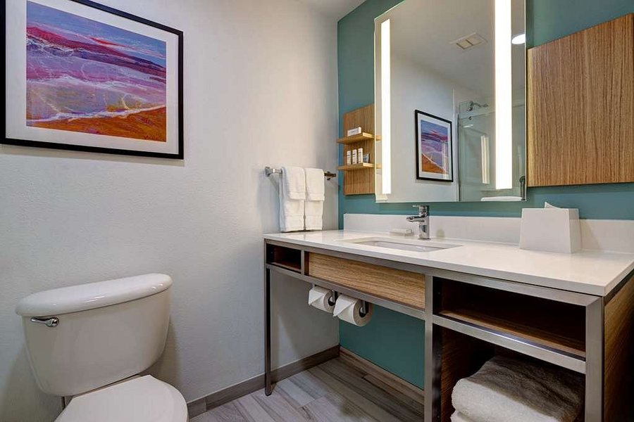 Hilton Garden Inn Tampa Airport Westshore Tampa Florida — Bathroom